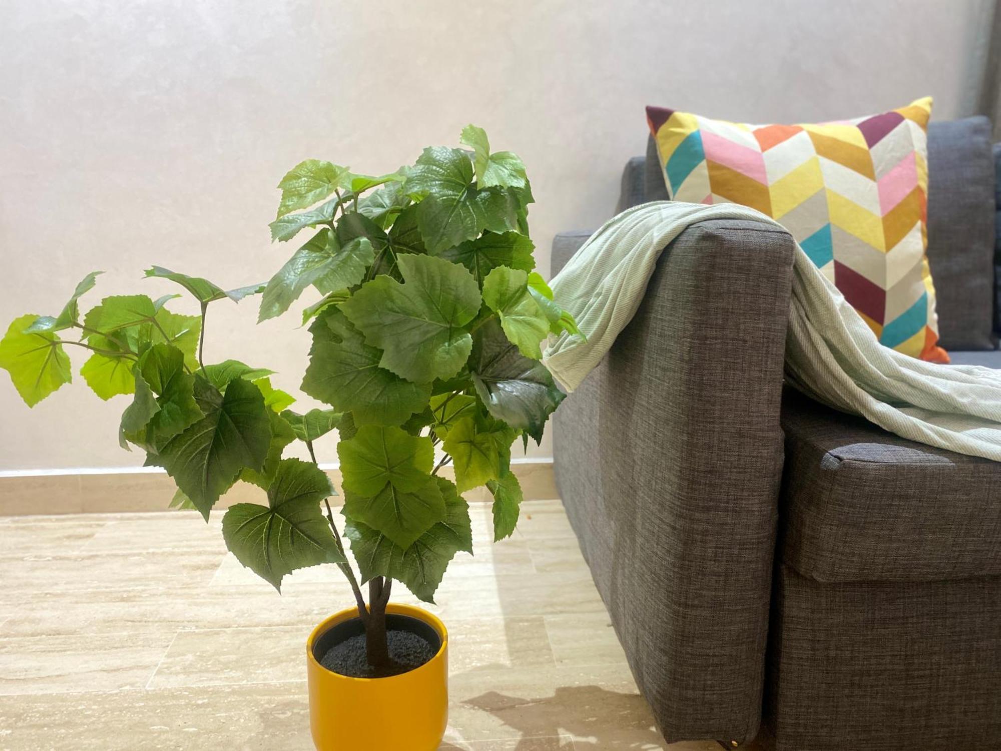 Superbe Appartement Tres Bien Situe Welcome Stay Casablanca Eksteriør bilde